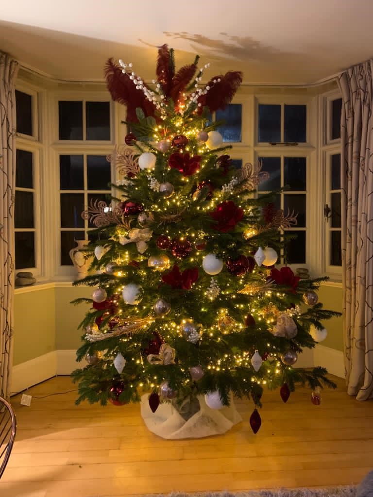 red Christmas tree decorations